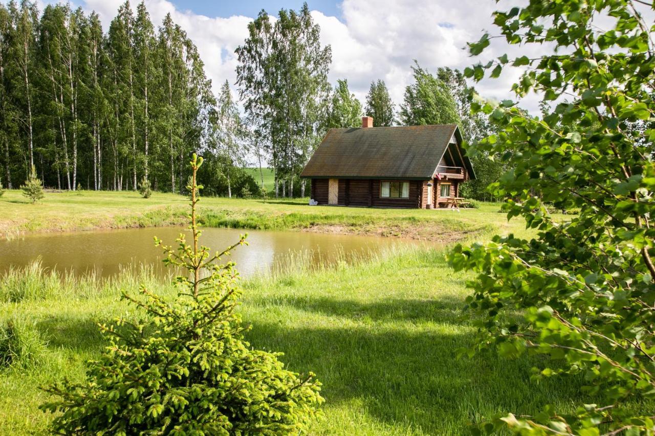 Willa Melderi Rēzekne Zewnętrze zdjęcie